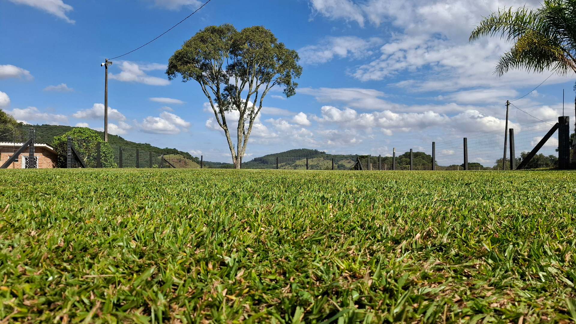 Vista do gramado com árvore central e montanhas ao fundo